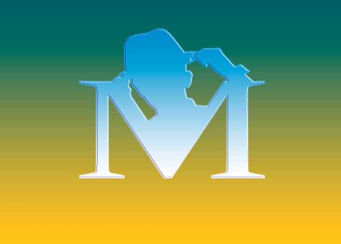 stylish text logo