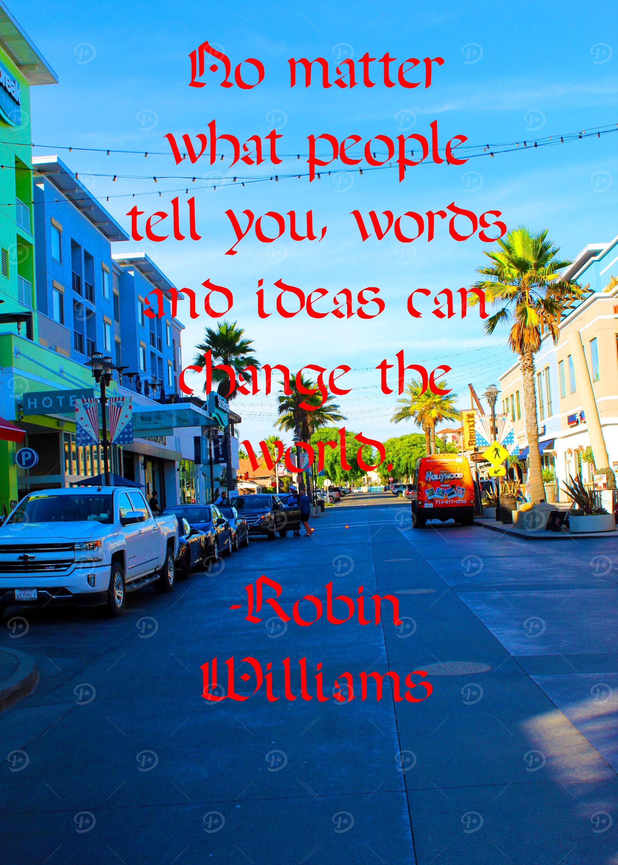 Robin Williams Quote