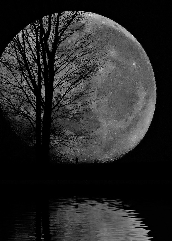 Moon Watcher