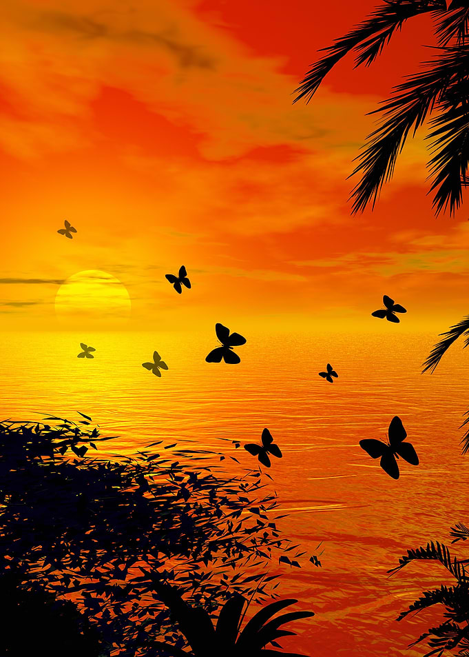 Wonderful sunset