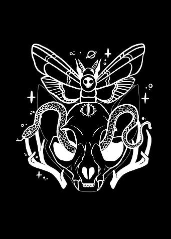 Cat Skull With Moth