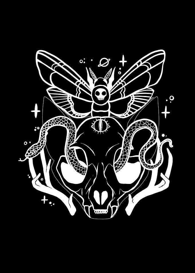 Cat Skull With Moth