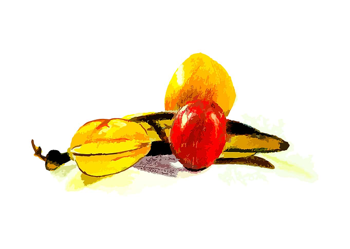 Bodegon de frutas