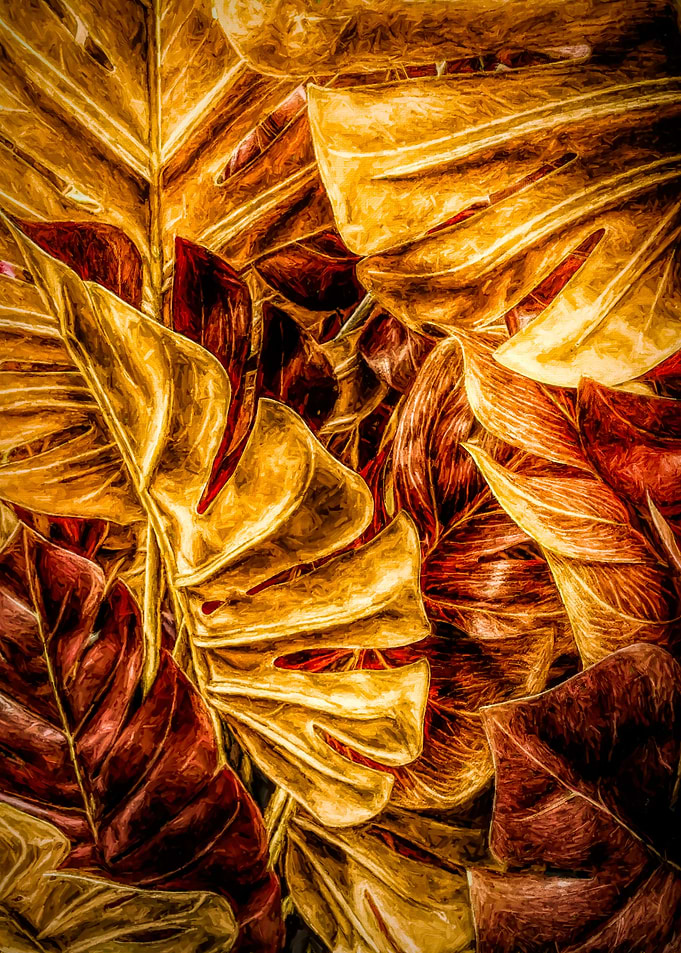 Autumn Monstera palm leaf