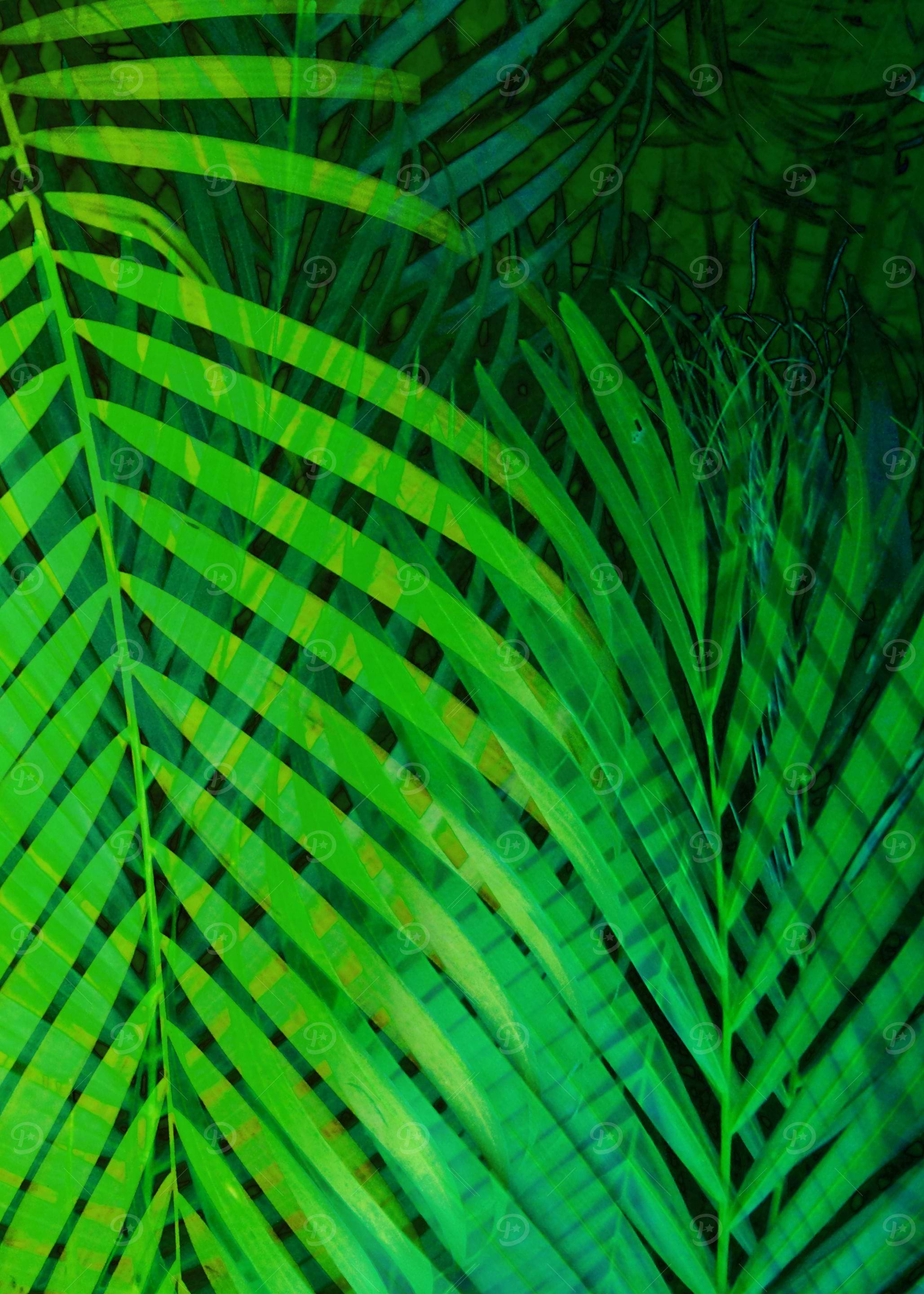 TROPICAL GREENERY POPPY 1
