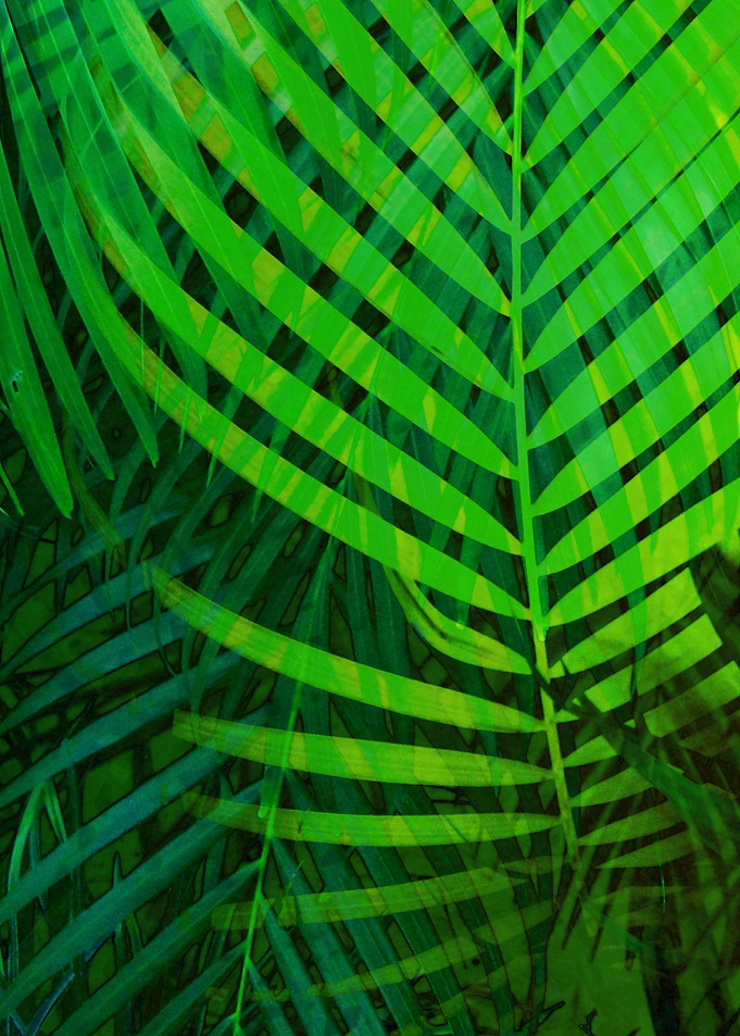 TROPICAL GREENERY POPPY 2