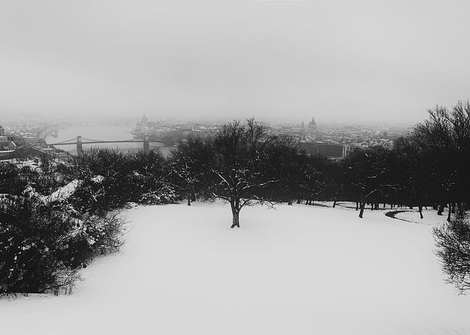 Winterscape 01