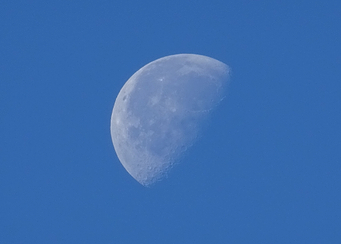 Autumn Moon