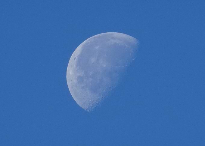 Autumn Moon