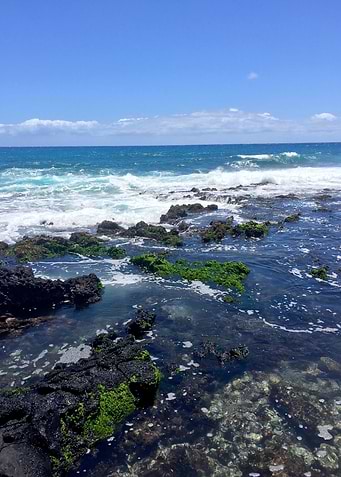 Hawaii Ocean Tidepool