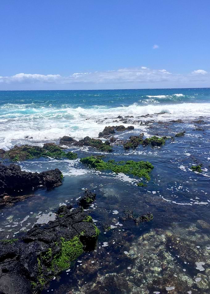 Hawaii Ocean Tidepool