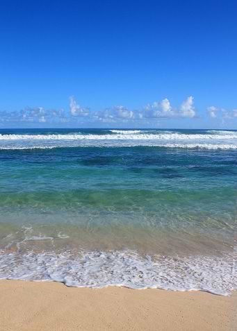 Hawaii Coastal Beach