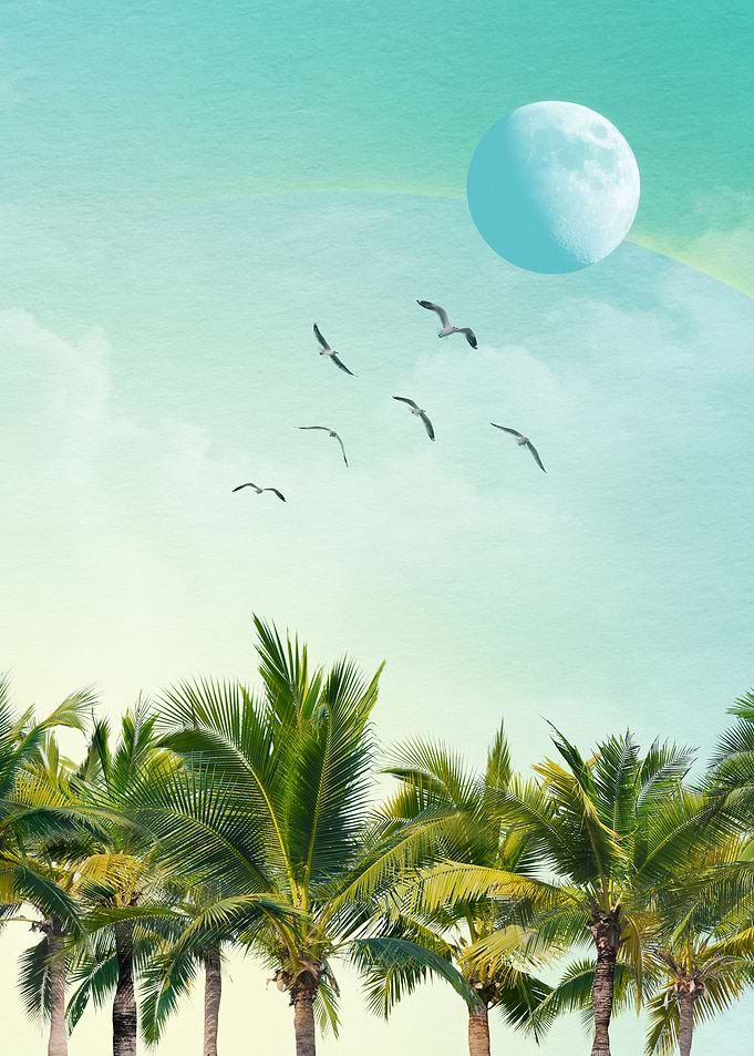 A new Moon