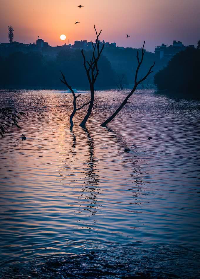 The Morning Sun in autumn