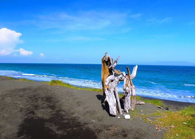 bleu beach wood