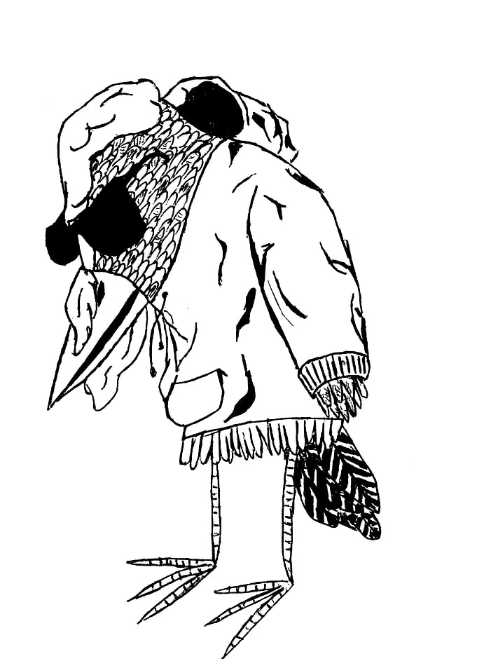 Cool Chicken