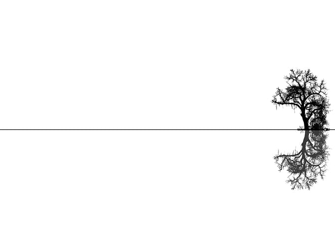 Duality