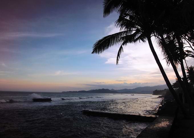 Palm and color