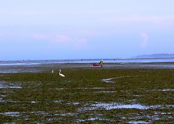 Fisherman