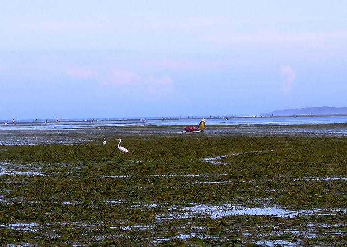 Fisherman