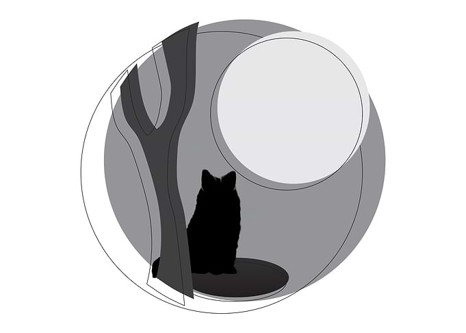 black fox
