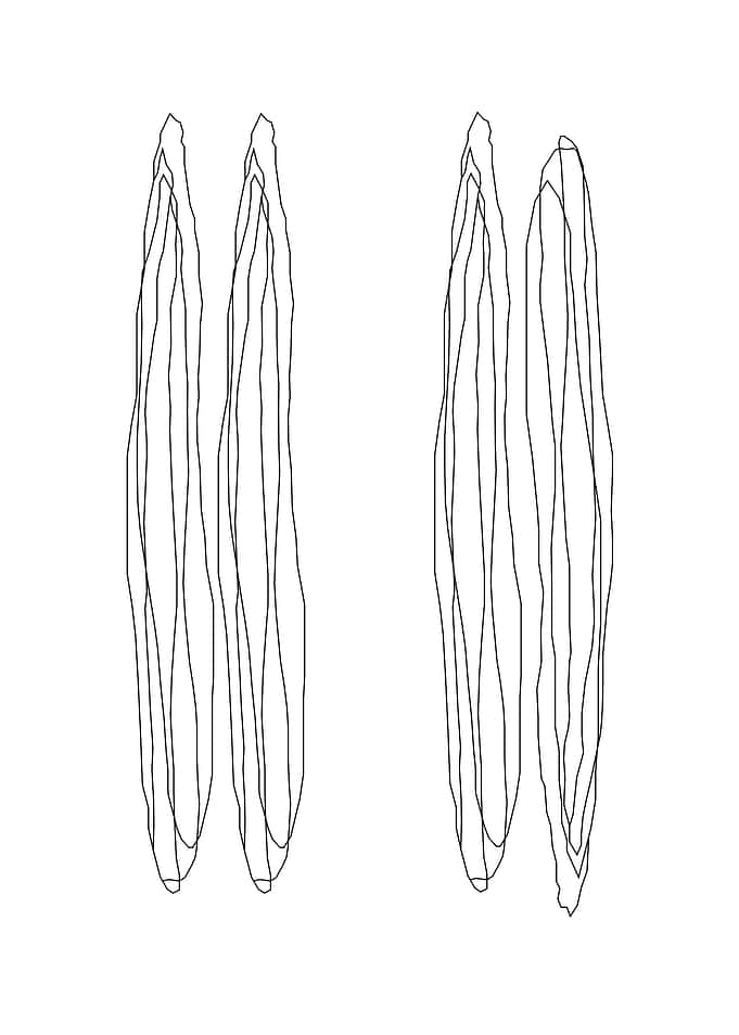 shapes