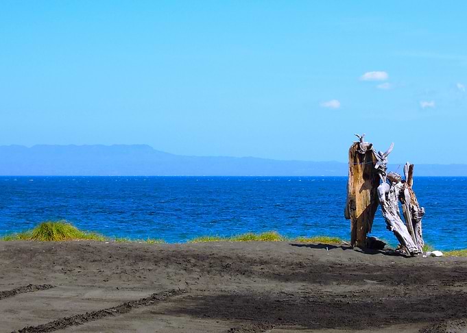Bleu Black Wood ocean