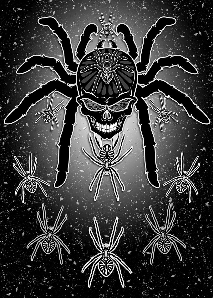 Spider Skull Tarantula