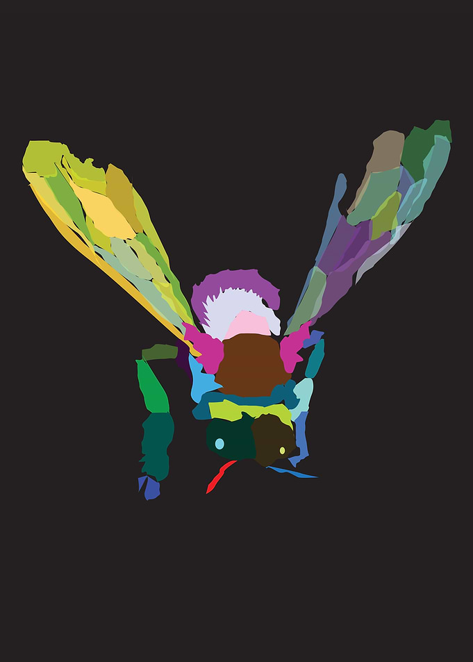 A Tropical Bee