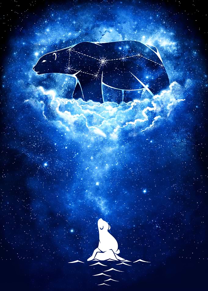 Starry Frozen Sky