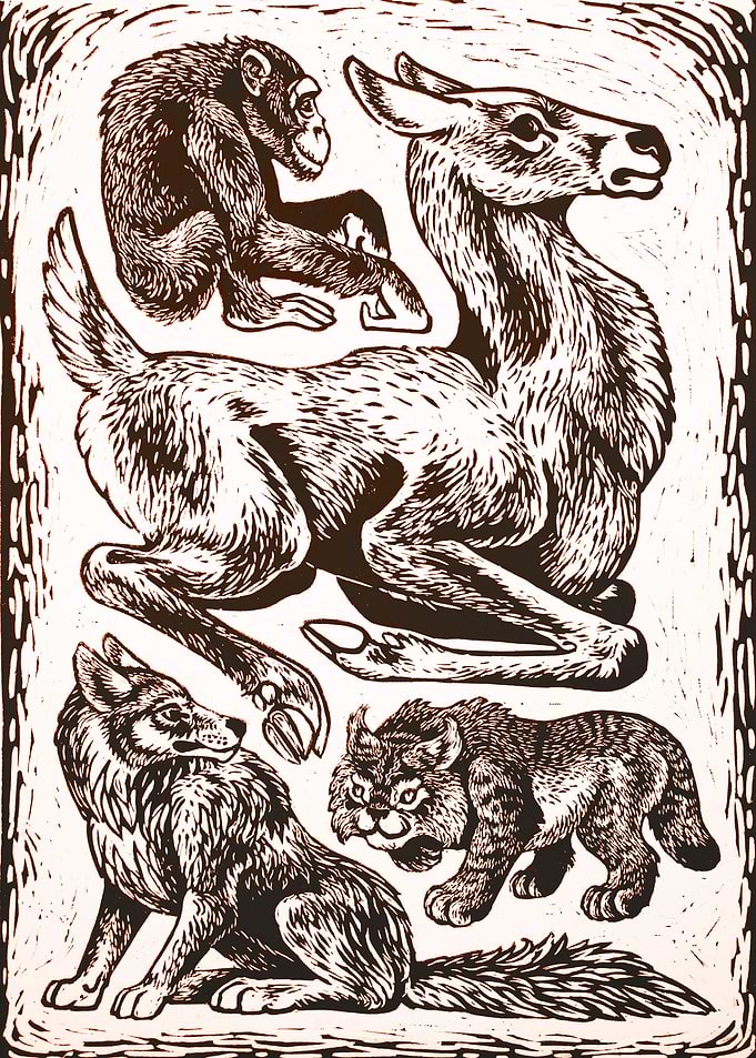 Mammals