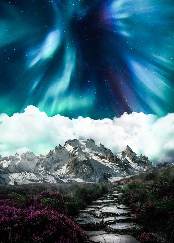 Aurora borealis and garden