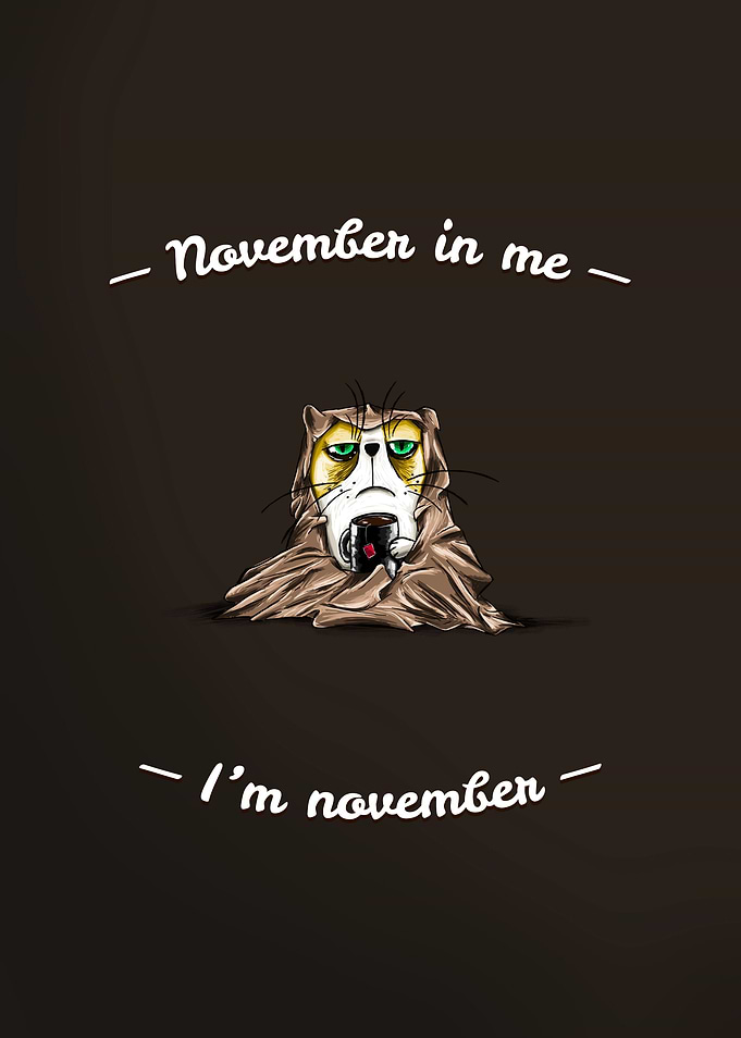 November Cat