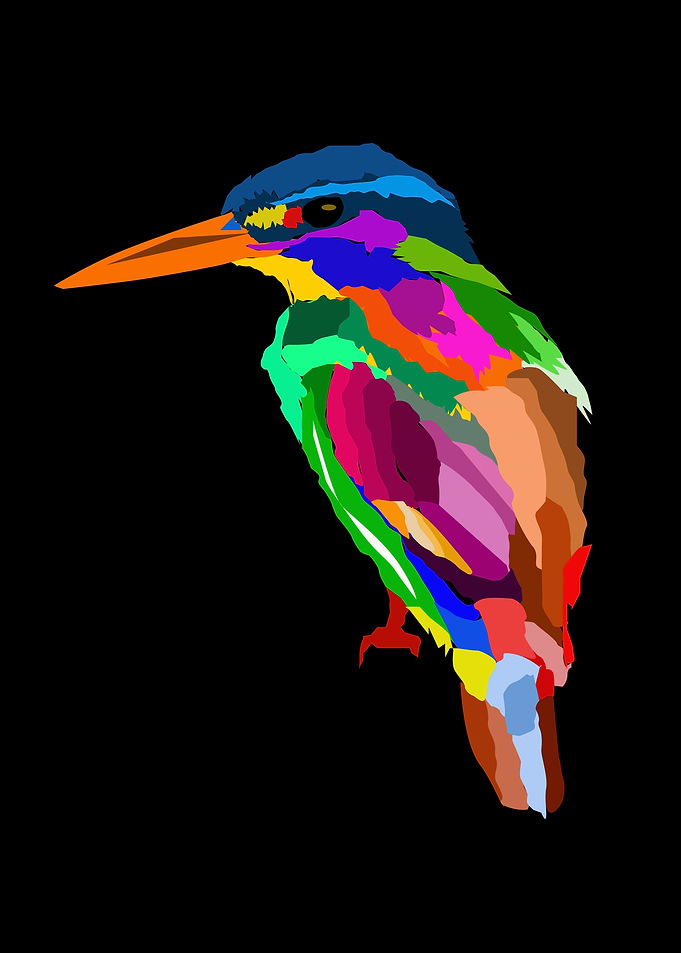 The Kingfisher