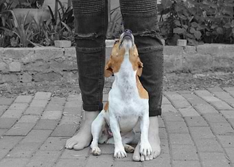 Here I am
