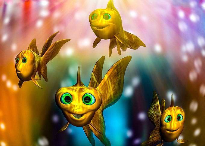 Little Fish Adventure