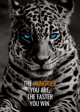 Blue Leopard