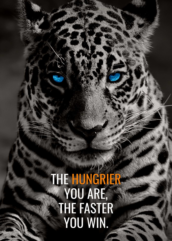 Blue Leopard