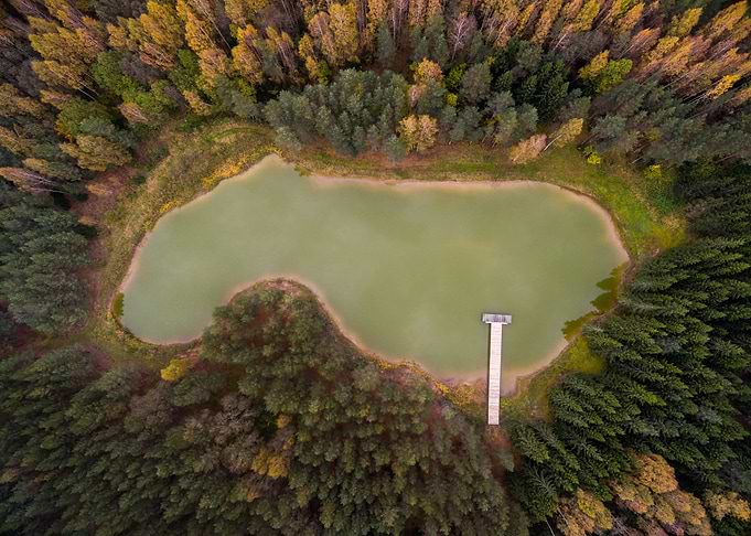 Little pond in the forest