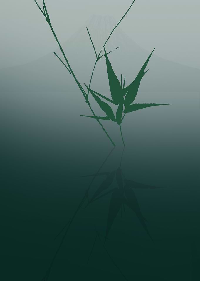 Bamboo reflected