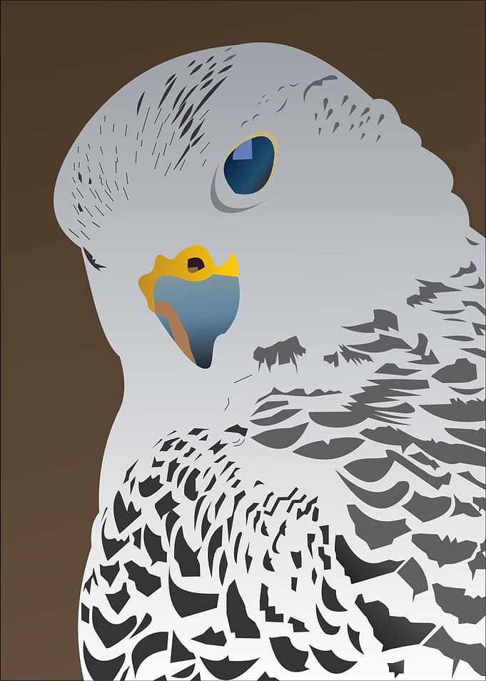 Amazing Falcon