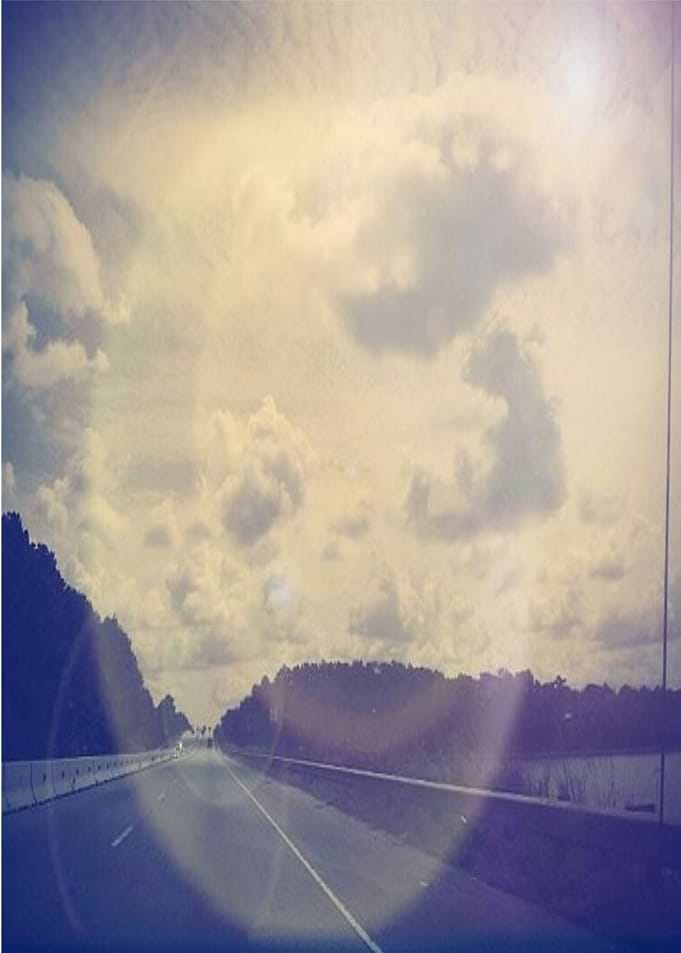 Echo Bridge