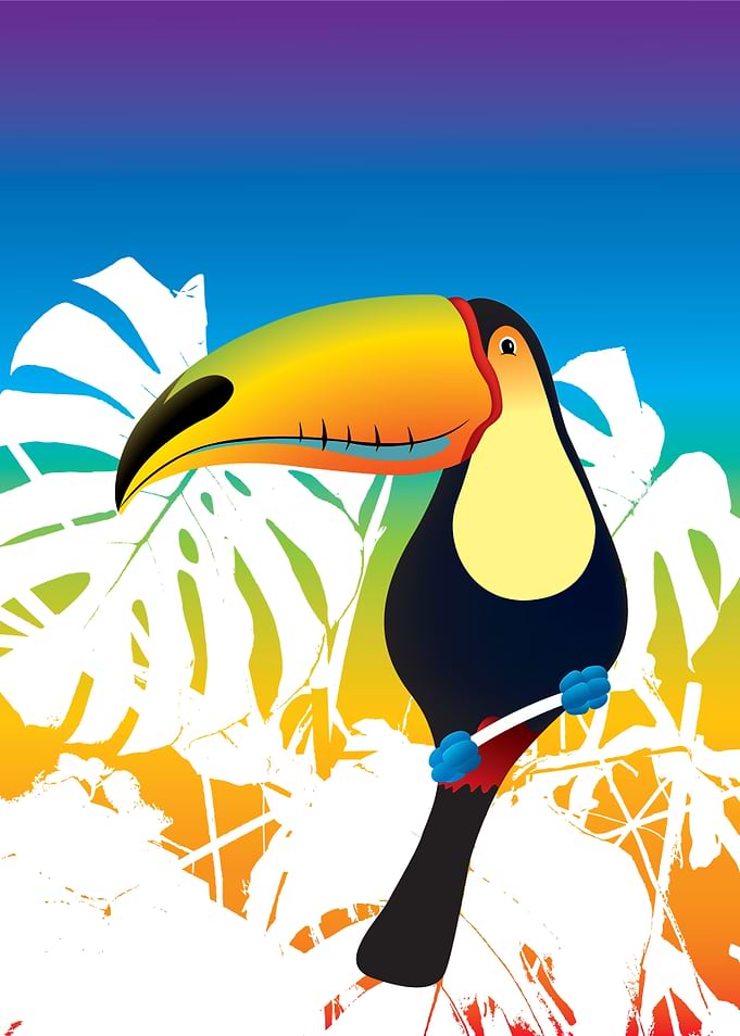 Toucan