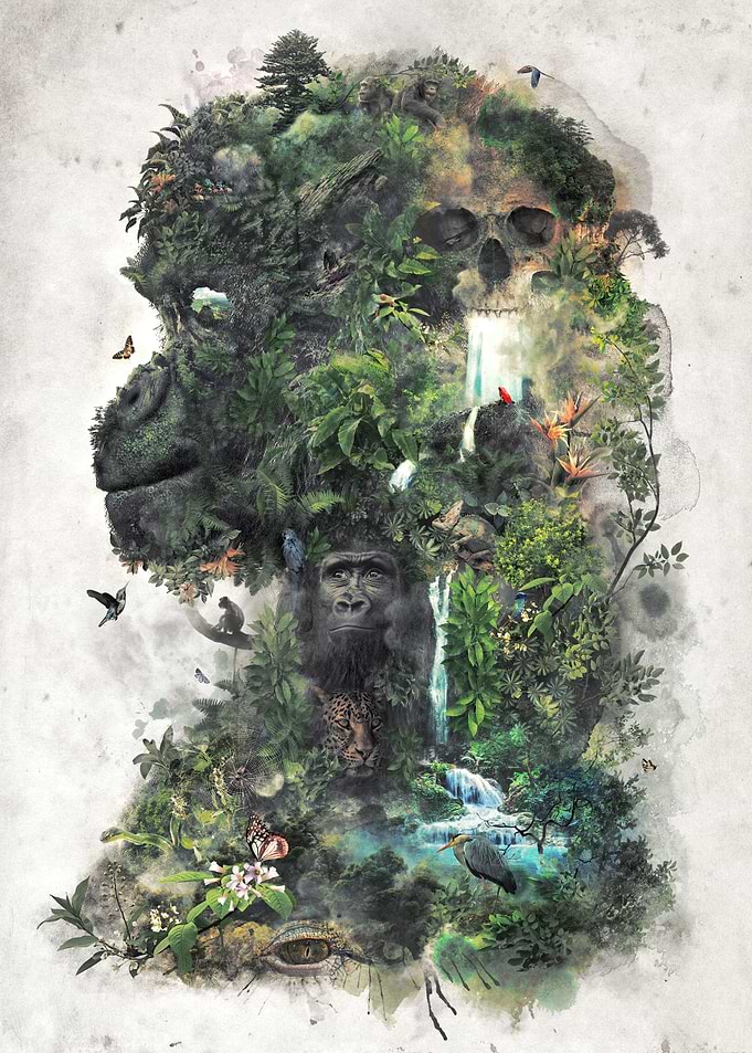 King of the Jungle