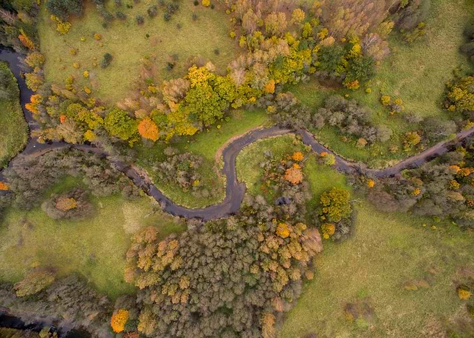 River in the fall