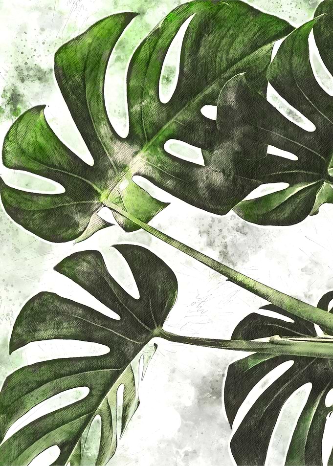 Watercolor Plant