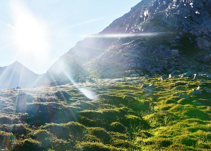 Chugach Light