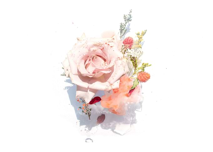 Layers of Flowers
