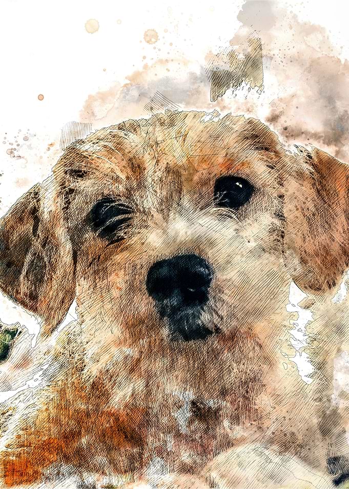 Watercolour Dog