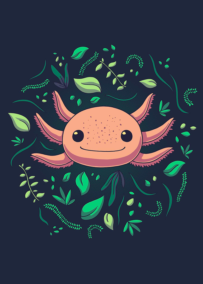 Axolotl Animal Cute Pet